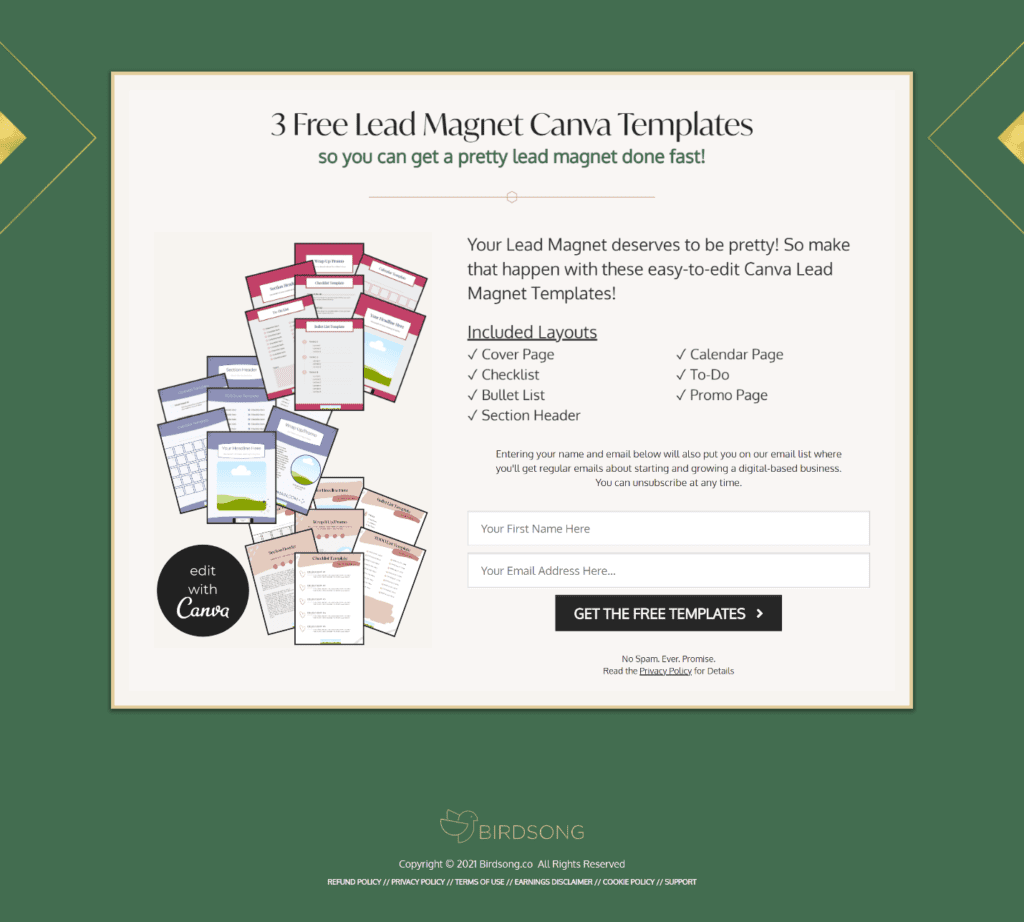 Example of High-Converting Landing Page for Email Marketing Tips